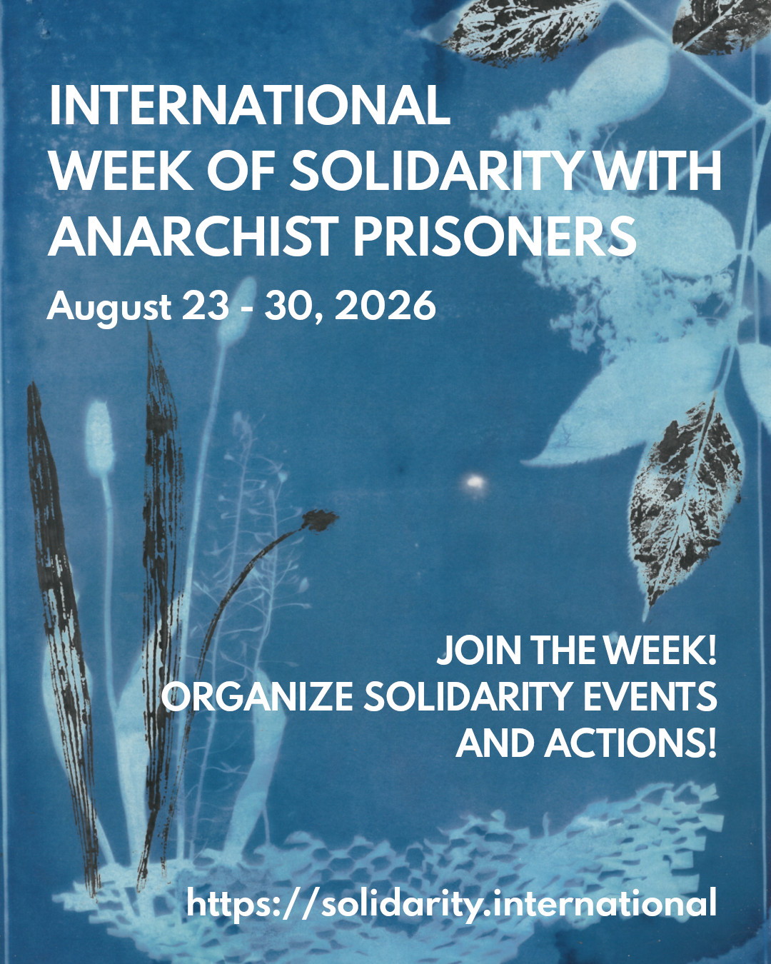 Cyanotype from different plants. Text:International Week of Solidarity with Anarchist Prisoner 2026 August 23-30, 2026 https://solidarity.international